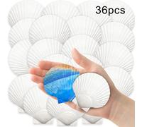 36PCS Conchiglie di capesante bianche naturali per pittura artigianato e decoraz