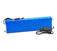 36V 10Ah Batteria Al Litio Per Bici Elettrica,Batteria Agli Ioni Di Litio Per Scooter,Con Caricabatterie,Con Scheda Di Protezione BMS,Per Motore Per Biciclette Elettriche Da 200W ~ 750W(XT60+JST)