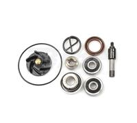 Vparts Beverly 250 2006- Water Pump Rebuild Kit Argento