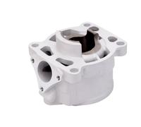 39. Blocco cilindro ad aria 5 mm compatibile con MC 50 TC 50 SX Junior Factory Edition Parti di moto 45230038000