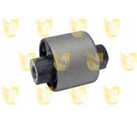 395438 UNIGOM Supporto, Differenziale per FIAT