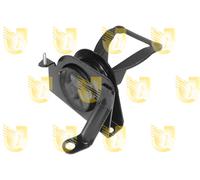 Supporto Sospensione Motore - UNIGOM 395456