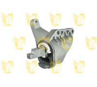 396844 UNIGOM Sospensione, Motore per VW