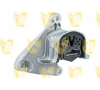 397887 UNIGOM Sospensione, Motore per VW