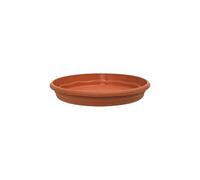 399 - Piatto in vaso, piccolo giardino, terracotta, 16 cm.