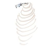 3B Scientific A69/2 Costole + software gratuito di anatomia - 3B Smart Anatomy