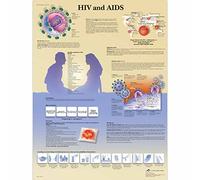 3B Scientific Anatomia umana - Grafico HIV e AIDS, Versione cartacea