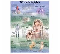 3B Scientific - Lavagnetta laminata con funzione nicotina