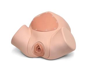 3B Scientific® Modulo di Addestramento per Episiotomia e Sutura - Estensione del simulatore di parto con pelle chiara per esercitazioni di riparazione perineale e sutura