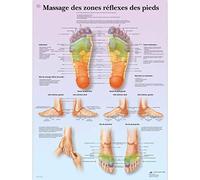 3B Scientific Riflessologia Plantare Tavola Didattica Anatomica su Carta, Multicolore, 50 x 67 cm