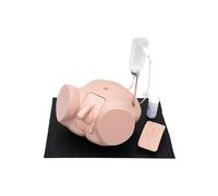 3B Scientific Set PRO Simulatore di Cateterizzazione P93SPC-S (maschile e femminile, tono chiaro)