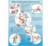 3B Scientific, tavola anatomica, Misure di Primo Soccorso (cod, VR4770UU)