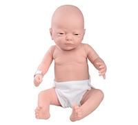 3B Scientific The Doll Factory Europe, S.L. W17000 Cura del Bebè, Maschio