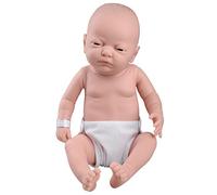 3B Scientific The Doll Factory Europe, S.L. W17001 Cura del Bebè, Femmina