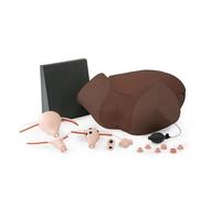 3B Scientific Trainer Competenze Ginecologiche P91D (pelle scura)