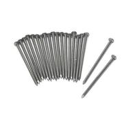 3B Scientific U8497331 Chiodi per Esperimenti di Fusione di Chiodi, Confezioni da 20