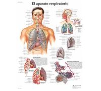 3B Scientific VR3322UU Stampato su carta, l'Apparecchio espiratorio