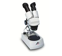 3B Scientific W30666-230 Microscopio Stereo, 40 x, Illuminazione Trasmessa LED, 230 V, 50/60 Hz