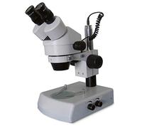 3B Scientific W30685-230 Microscopio Stereo Zoom, 45 x, 230 V, 50/60 Hz