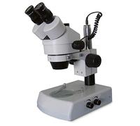 3B Scientific W30686-230 Microscopio Stereo Zoom, 45 x, 230 V, 50/60 Hz