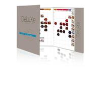 3Cartella colore capelli deluxe 100 campioni