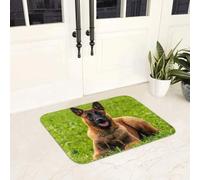 3D Belgian Shepherd Dog Malinois Zerbino antiscivolo Tappeto tappeto per ingresso cucina, bagno soggiorno, tappetini per i padpadelli, 40x60cm