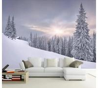 3D Carta Da Parati Bellezza Inverno Foresta Paesaggio Innevato Luce Del | Facile da Installare Ideale per Decorazioni di Lusso su Misura Uffici Soggiorni Camere Letto Pareti Dietro il TV-430cm×300cm