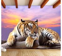 3D Carta Da Parati Bello Cielo Tridimensionale Tigre Animali | Facile da Installare Ideale per Decorazioni di Lusso su Misura Uffici Soggiorni Camere Letto Pareti Dietro il TV-300cm×210cm