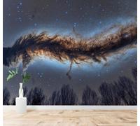 3D Carta da Parati Cime Degli Alberi Via Lattea Cielo Stellato Stelle | Murales Creativi e Moderni Per la Casa Studio Soggiorno Camera da Letto Divano Sfondi Decorazioni Murali di Lusso-150cm×105cm