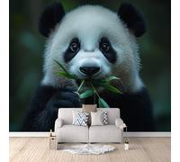 3D Carta Da Parati Fotografica Panda Tesoro Nazionale TNT Murale alla moda Decorazione Carino Panda Gigante Ristorante Soggiorno Tv Parete Camera Letto Decorazione Della Parete Murali-100x70cm