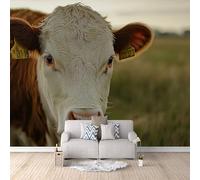 3D Carta Da Parati Fotografica Primo Piano Di Una Vecchia Mucca TNT Murale alla moda Decorazione Documentario Naturalistico Ristorante Soggiorno Tv Parete Camera Letto Decorazione-300x210cm