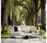 3D Carta da Parati Freschezza Prati Verdi Sole Ombra Degli Alberi Sentieri | Texture in Seta di Alta Qualità Ideale per Studi Uffici Sale da Pranzo Divani Camere Letto Soggiorni Dietro la TV-430cm×300cm