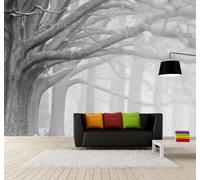 3D Carta Da Parati Grande Retrò Bianco E Nero Bosco Nebbia Bianca | Facile da Installare Ideale per Decorazioni di Lusso su Misura Uffici Soggiorni Camere Letto Pareti Dietro il TV-250cm×170cm