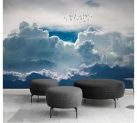 3D Carta Da Parati Inchiostro Cielo Nuvole Uccelli In Volo Paesaggio | Facile da Installare Ideale per Decorazioni di Lusso su Misura Uffici Soggiorni Camere Letto Pareti Dietro il TV-250cm×170cm