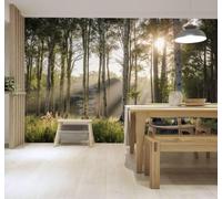 3D Carta da Parati Luce Dell'Alba Nebbia Bianca Foresta Prato Verde Prato | Murales Creativi e Moderni Per la Casa Studio Soggiorno Camera da Letto Divano Sfondi Decorazioni Murali di Lusso-250cm×170cm