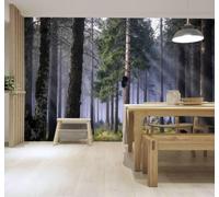 3D Carta da Parati Nebbia Leggera Aria Fresca Pineta Luce Del Sole | Murales Creativi e Moderni Per la Casa Studio Soggiorno Camera da Letto Divano Sfondi Decorazioni Murali di Lusso-400cm×280cm