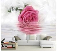 3D Carta Da Parati Romantico Rosa Rose Piume Riflesso | Facile da Installare Ideale per Decorazioni di Lusso su Misura Uffici Soggiorni Camere Letto Pareti Dietro il TV-430cm×300cm