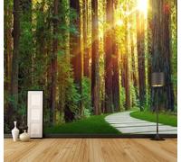 3D Carta Da Parati Sole Freschezza Verde Foresta Sentiero | Facile da Installare Ideale per Decorazioni di Lusso su Misura Uffici Soggiorni Camere Letto Pareti Dietro il TV-150cm×105cm
