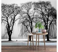 3D Carta Da Parati Tridimensionale In Bianco E Nero Bosco Parco Paesaggio | Facile da Installare Ideale per Decorazioni di Lusso su Misura Uffici Soggiorni Camere Letto Pareti Dietro il TV-430cm×300cm