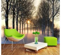 3D Carta Da Parati Tridimensionale Luce Del Sole Bosco Sentiero Spazio Che | Facile da Installare Ideale per Decorazioni di Lusso su Misura Uffici Soggiorni Camere Letto Pareti Dietro il TV-300cm×210cm