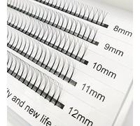 3D Ciglia finte Volume Ciglia Estensioni Cluster russo Ciglia individuali Volume professionale C Curl Estensioni ciglia 2 Vassoi (3D e 8D)