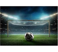 3D Fotomurale Murales Porta da Calcio Carta da Parati Panoramica 430x300 cm Stadio Fotomurali Tessuto Non Tessuto Decorazione Parete Poster Camere da Letto Soggiorno Pareti Murale q.5638