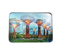 3D Gardens by The bay Singapore Frigorifero Magnete per Frigorifero Magnete in Vetro Cristallo Viaggio turistico Souvenir Collection Regalo Adesivo Magnetico Decorazione della Cucina di casa