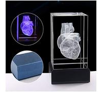 3D Human Heart Modello anatomico - Cuore di Cristallo 3D Umano con coronarica - fermacarte (Laser Etched) in Scienze Regalo di Cristallo Glass Cube (Incluso LED Base)