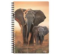 3D LiveLife Notebook - Sunset Stroll di Deluxebase. Quaderno lenticolare 3D Safari da 80 pagine. Carta da lettere per la scuola o l'ufficio con licenza dell'artista David Penfound.