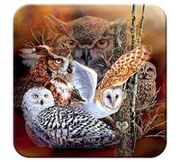 3D LiveLife Sottobicchiere di Sughero - Boschi di Gufi di Deluxebase. Sottobicchiere Lenticolare in 3D a tema Natura. Tappetino antiscivolo con opera d'arte del celebre artista Steven Michael Gardner