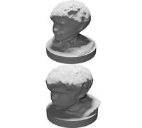 3D Portrait Custom Made for Sony 3D Creator App with Personal Design Display