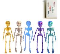 3D Printed Skeleton Fridge Magnet, Mini Skull Fridge Magnets with Movable Joints, Interesting Multi-Color Human Skull Magnetic Decorations, for Halloween Refrigerator (5Pcs B)