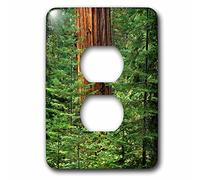 3D Rose California, Yosemite National Park. Giant Sequoia in Tuolumne Grove 2 Prese di Copertura, Multicolore