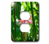 3D rose Lsp 226589 _ 6 Ginger Plant, giardini Botanici e cascata, St. Lucia 2 plug Outlet cover, multicolore